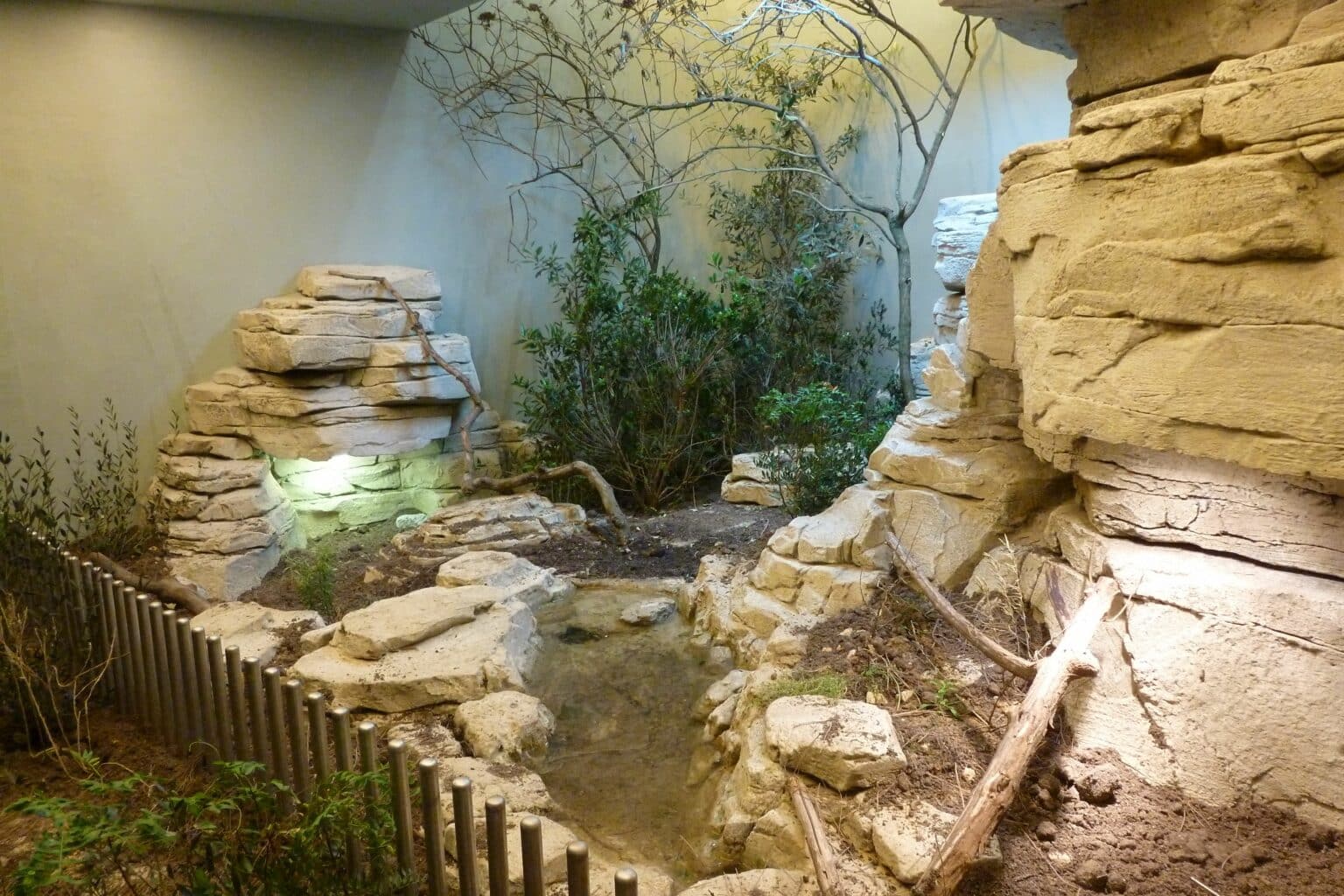 Réalisation murale au parc zoologique de Paris A Coeur de Chaux